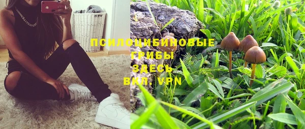 амфетамин Новокубанск